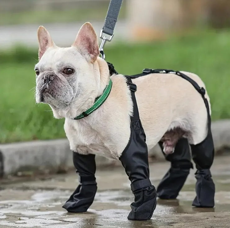 Black waterproof dog shoes with non-slip sole and adjustable straps for all sizes